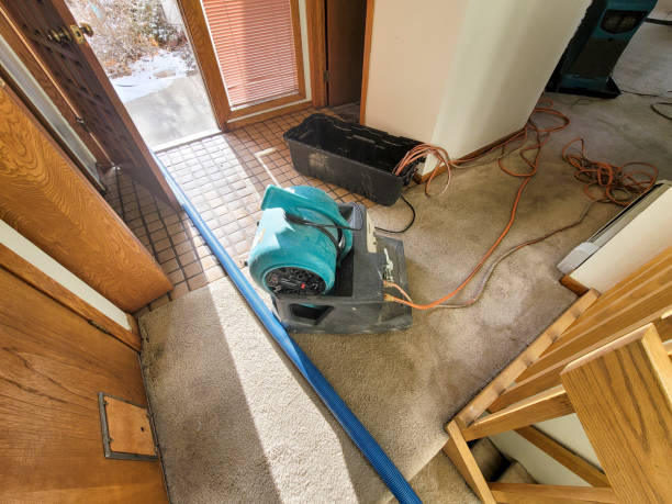 Best Emergency water damage restoration  in Sand Point, AK