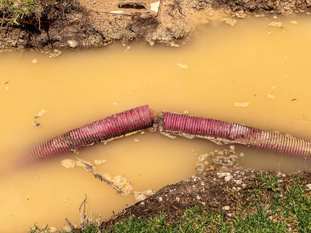 Best Water damage repair service  in Sand Point, AK